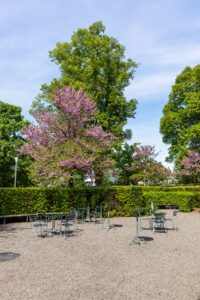 3500px_Hochzeit_223